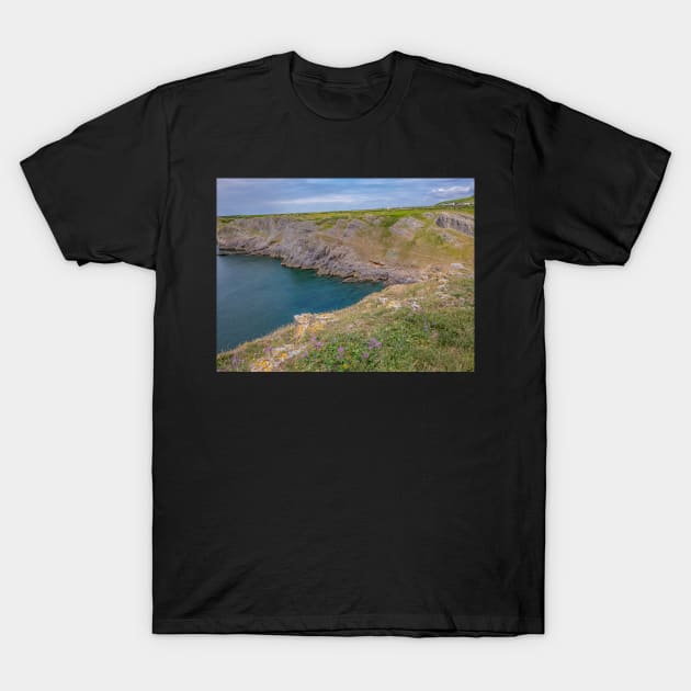 Mewslade Bay on the Gower Way, South Wales T-Shirt by yackers1